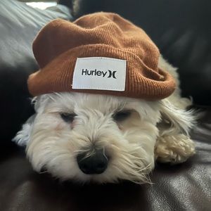 Meet your Posher, Carla